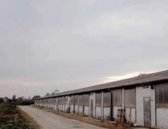 terreno agricolo in vendita a Trebaseleghe