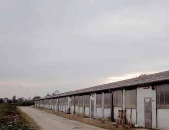 terreno agricolo in vendita a Trebaseleghe