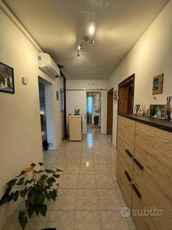 appartamento in vendita a Trebaseleghe