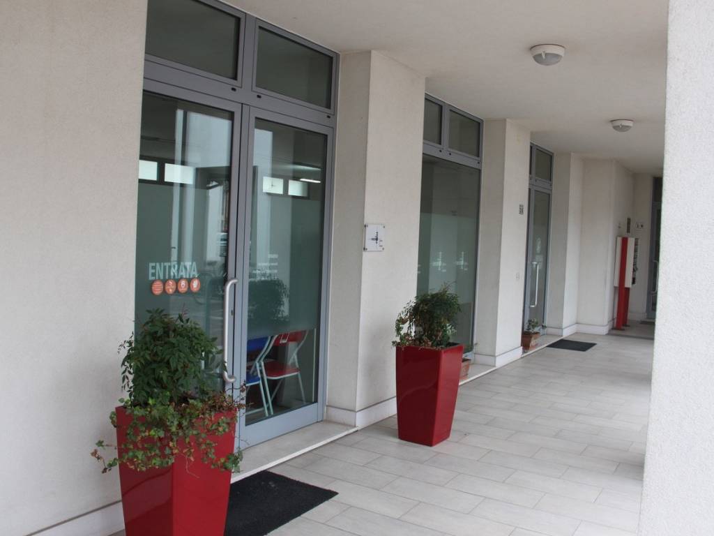 negozio in vendita a Trebaseleghe