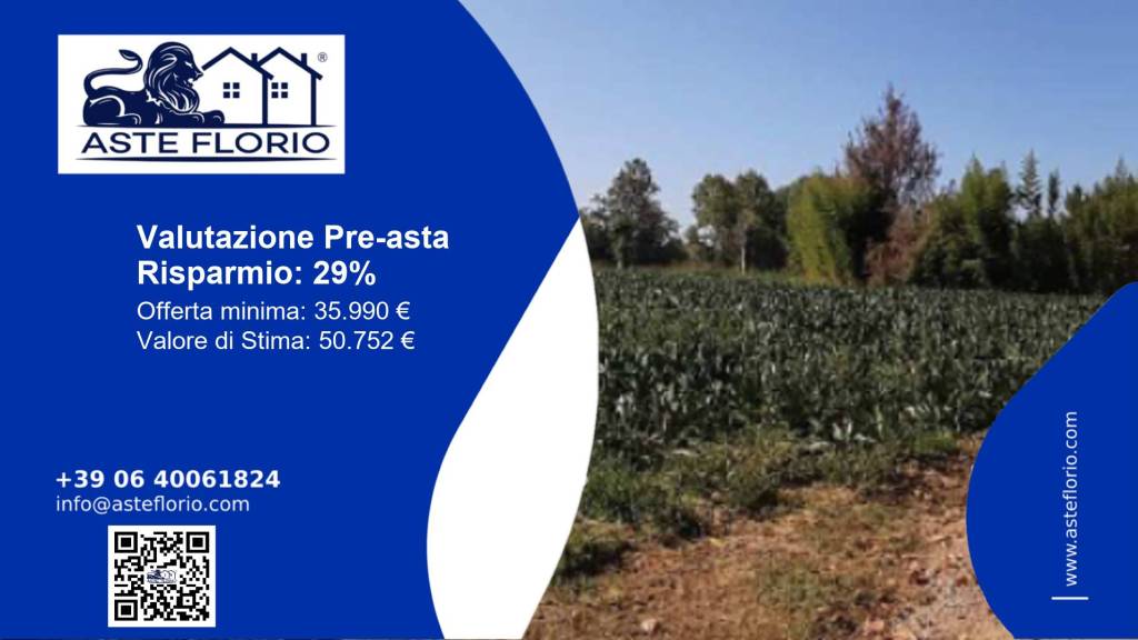 terreno agricolo in vendita a Trebaseleghe