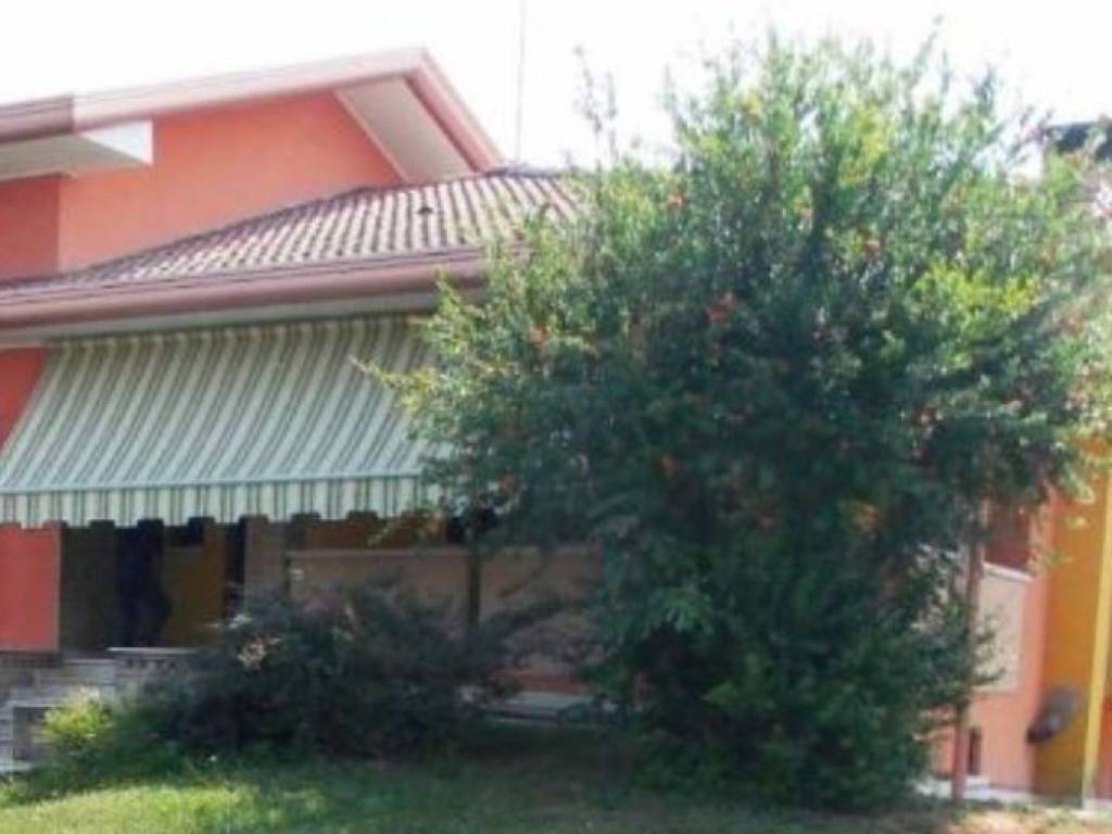 casa indipendente in vendita a Trebaseleghe