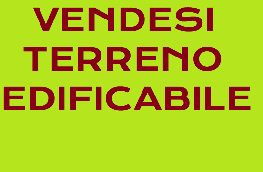 casa indipendente in vendita a Trebaseleghe