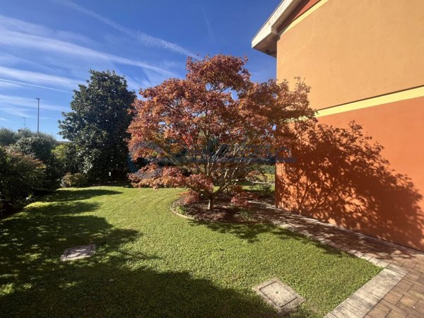 casa indipendente in vendita a Trebaseleghe