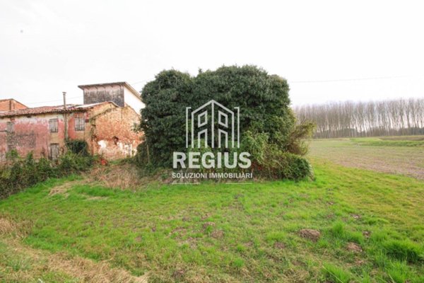 casa indipendente in vendita a Trebaseleghe