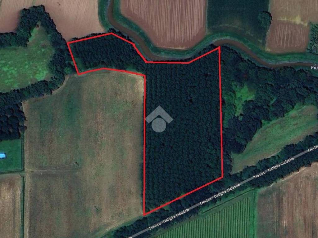 terreno agricolo in vendita a Trebaseleghe