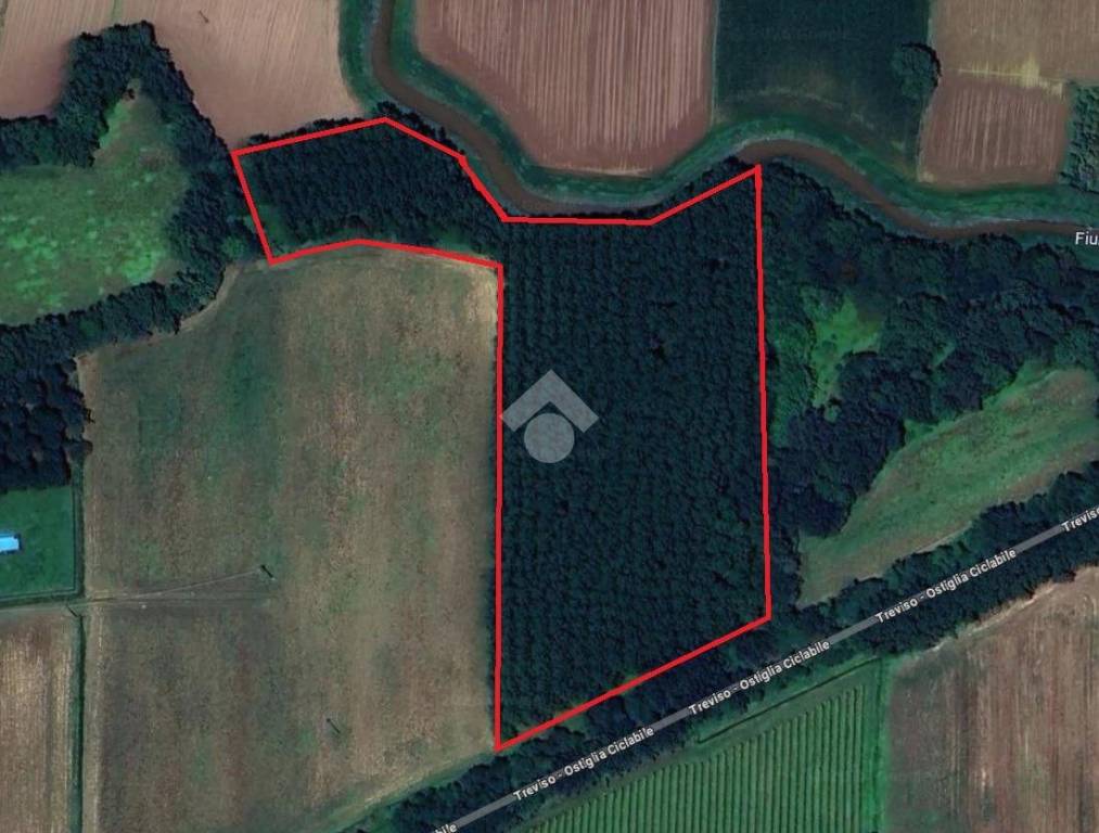terreno agricolo in vendita a Trebaseleghe