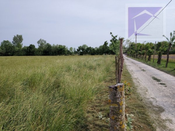 terreno agricolo in vendita a Trebaseleghe in zona Fossalta