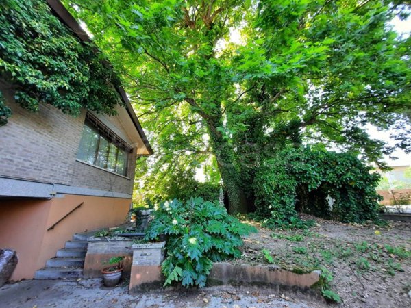 casa indipendente in vendita a Trebaseleghe