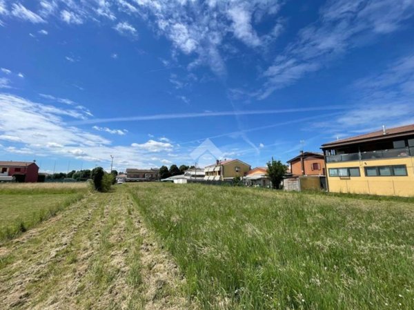 terreno agricolo in vendita a Trebaseleghe