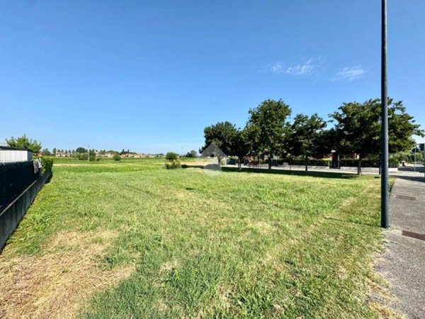 terreno agricolo in vendita a Trebaseleghe in zona S.Ambrogio