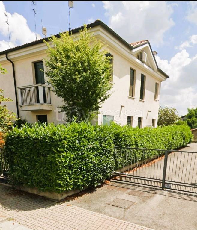 casa indipendente in vendita a Trebaseleghe