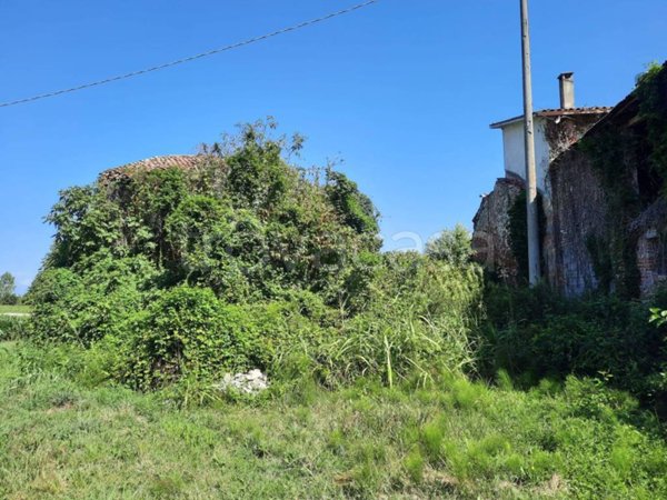 casa indipendente in vendita a Trebaseleghe