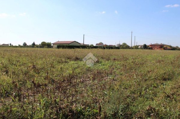 terreno agricolo in vendita a Tribano