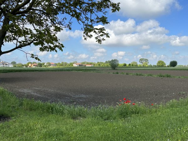terreno agricolo in vendita a Tribano