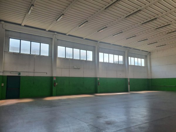 appartamento in vendita a Tribano