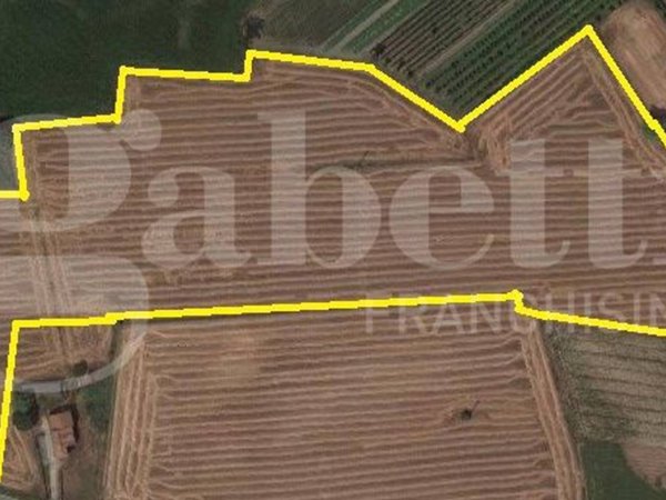 terreno agricolo in vendita a Tribano in zona San Luca