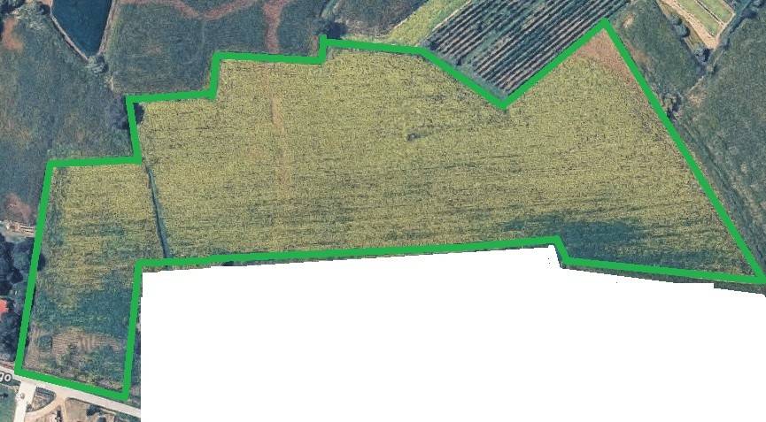 terreno agricolo in vendita a Tribano in zona San Luca