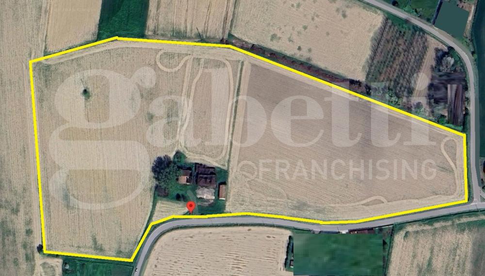 terreno agricolo in vendita a Tribano in zona San Luca