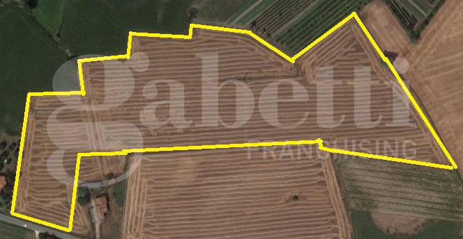terreno agricolo in vendita a Tribano