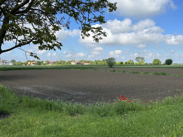 terreno agricolo in vendita a Tribano