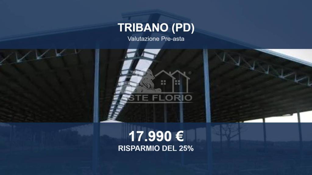 casa indipendente in vendita a Tribano