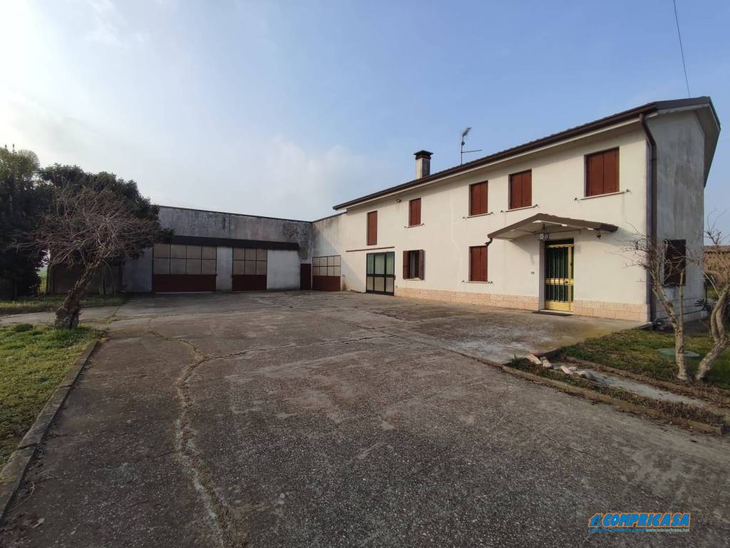 casa indipendente in vendita ad Urbana in zona San Salvaro