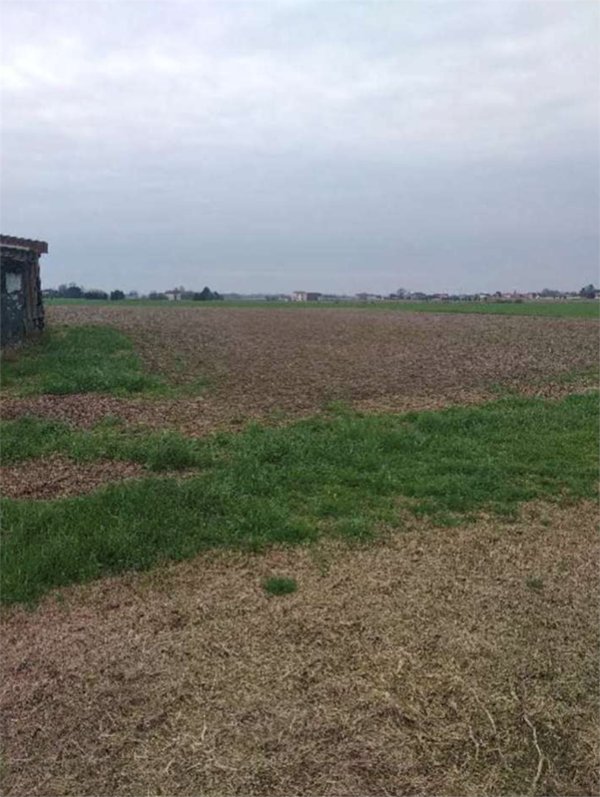 terreno agricolo in vendita ad Urbana