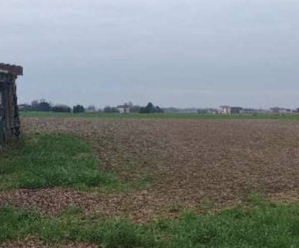 terreno agricolo in vendita ad Urbana