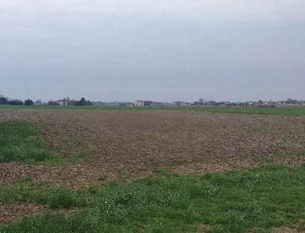 terreno agricolo in vendita ad Urbana