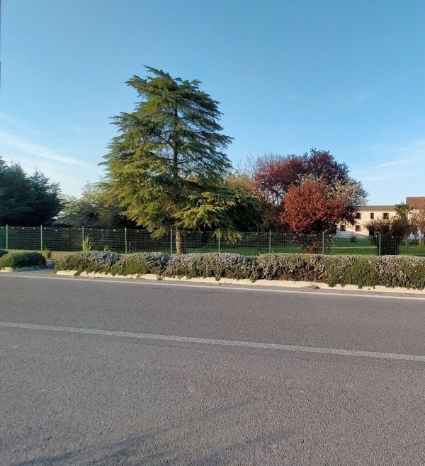 casa indipendente in vendita ad Urbana