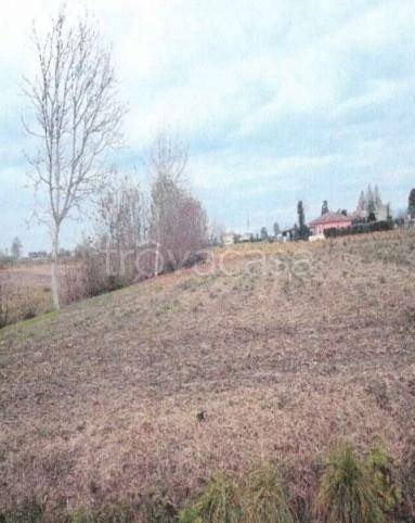 terreno edificabile in vendita ad Urbana in zona San Salvaro