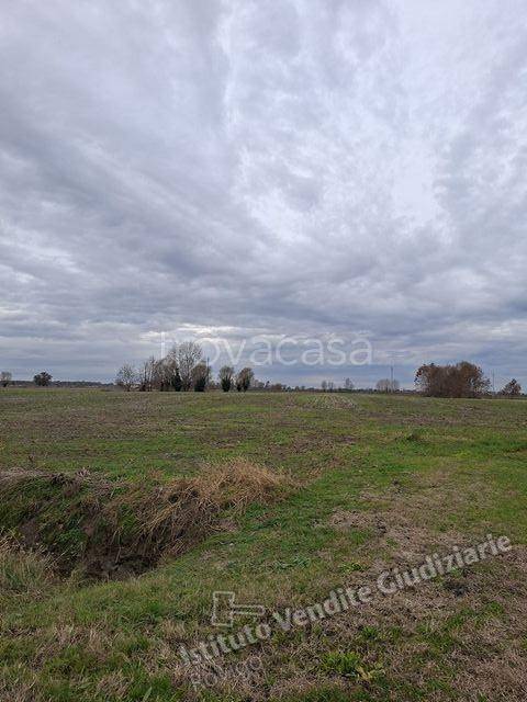 terreno edificabile in vendita ad Urbana in zona San Salvaro