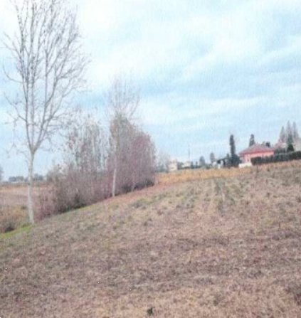 casa indipendente in vendita ad Urbana in zona San Salvaro