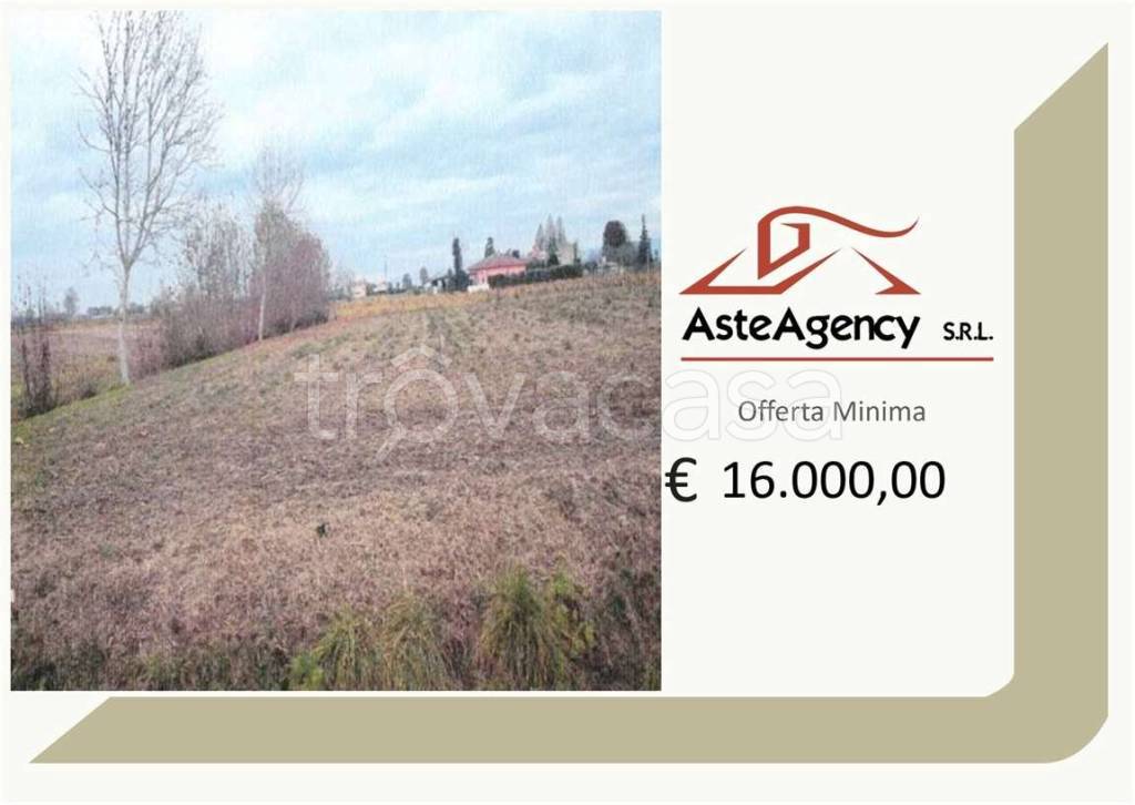 terreno agricolo in vendita ad Urbana in zona San Salvaro