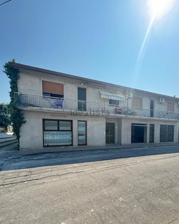 casa indipendente in vendita ad Urbana in zona San Salvaro