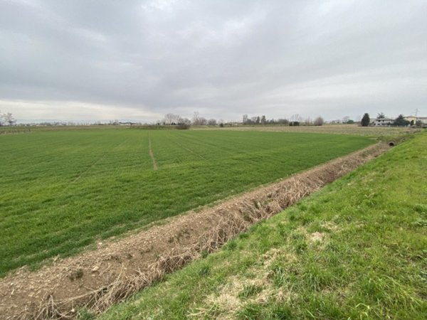 terreno agricolo in vendita a Veggiano