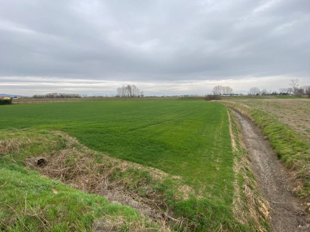 terreno agricolo in vendita a Veggiano