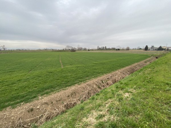 terreno agricolo in vendita a Veggiano