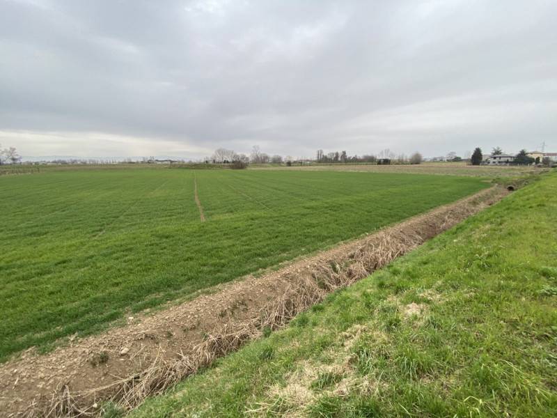 terreno agricolo in vendita a Veggiano