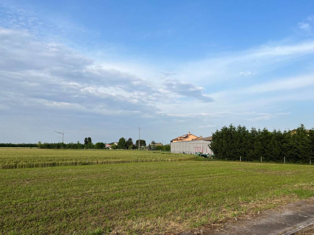 terreno agricolo in vendita a Veggiano