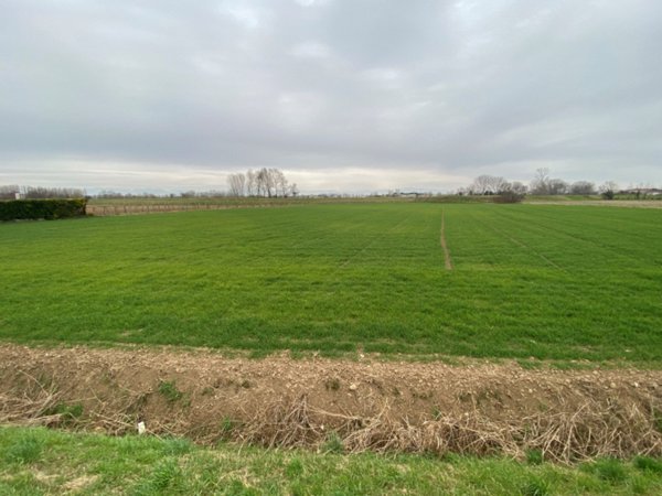 terreno agricolo in vendita a Veggiano