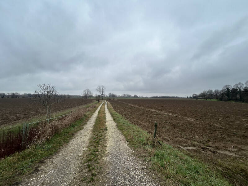 terreno agricolo in vendita a Veggiano