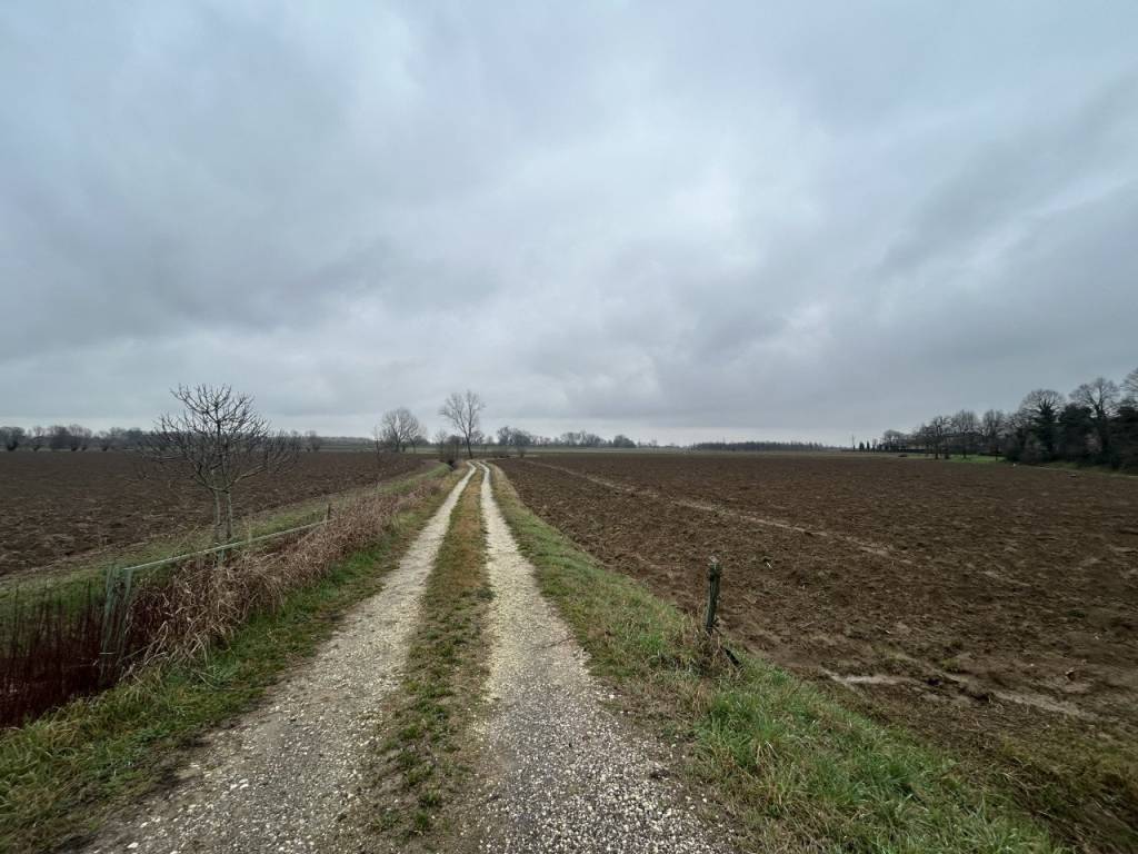 terreno in vendita a Veggiano