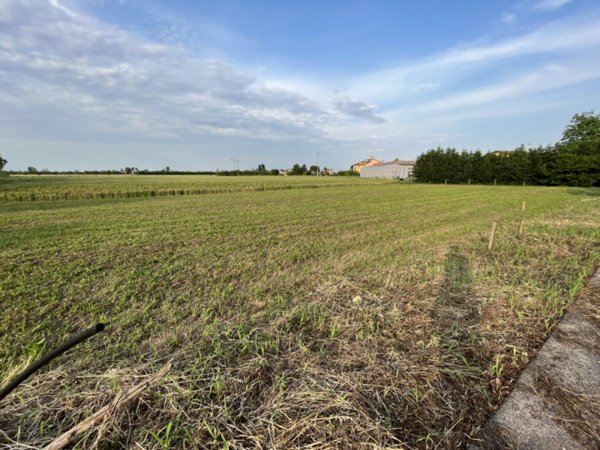 terreno in vendita a Veggiano