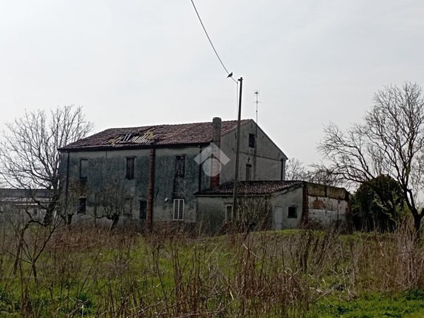 casa indipendente in vendita a Vescovana