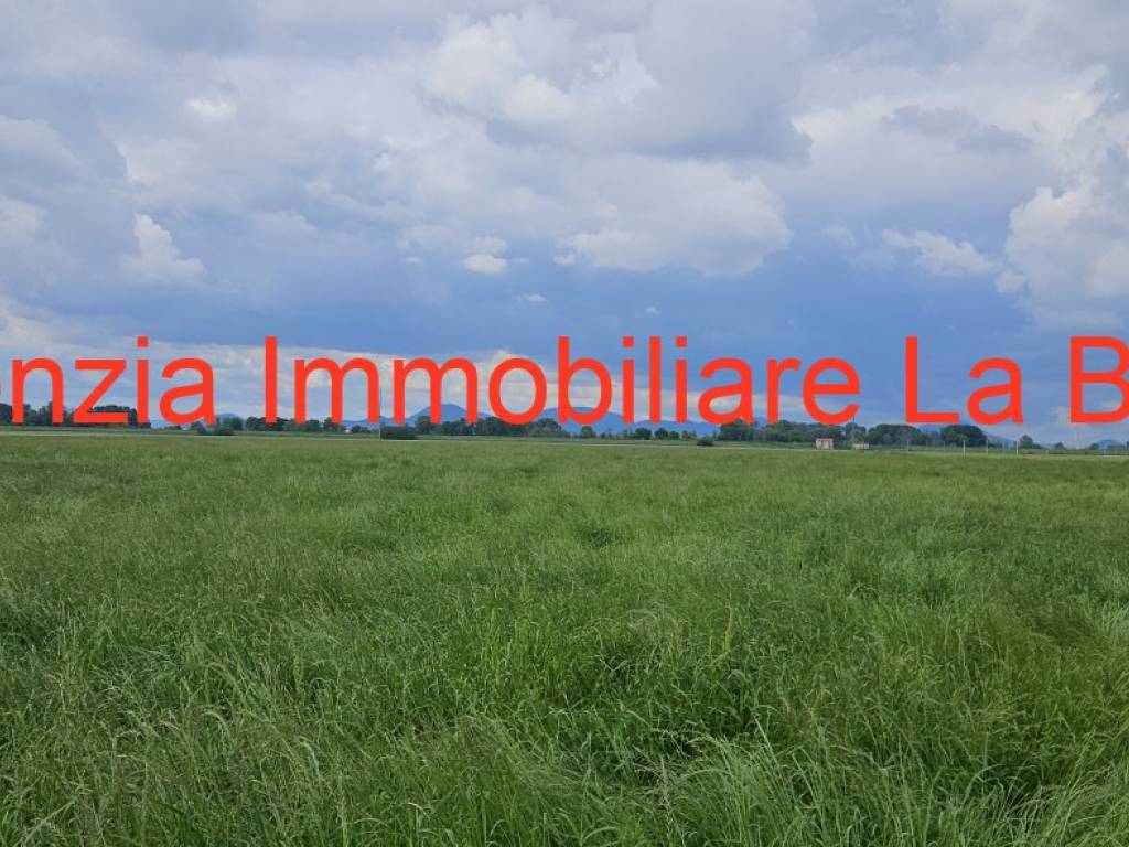 terreno agricolo in vendita a Vescovana