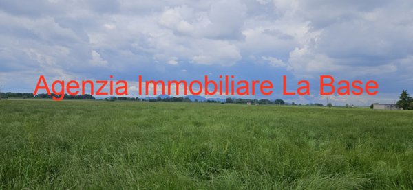 terreno agricolo in vendita a Vescovana