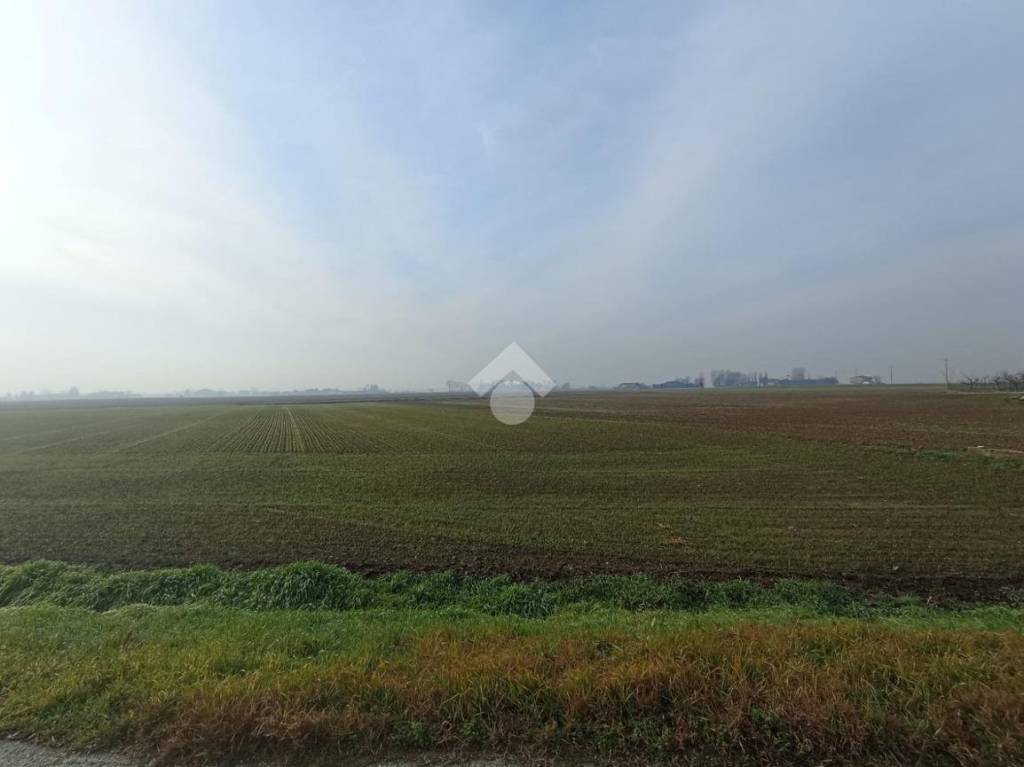 terreno agricolo in vendita a Vescovana