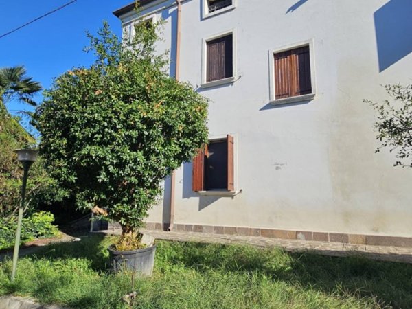 casa indipendente in vendita a Vescovana